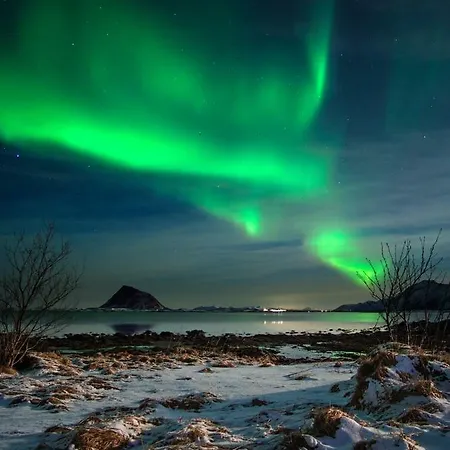 Lofoten Feriehus- Storoy Lyngedal