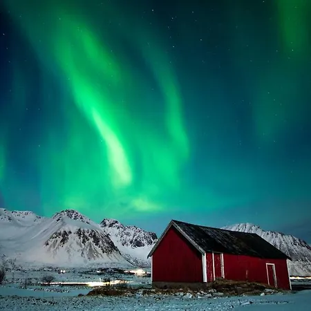 Lofoten Feriehus- Storoy Сasa de vacaciones Lyngedal